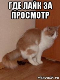 где лайк за просмотр 