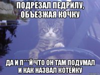 подрезал педрилу, объезжая кочку да и п***й что он там подумал и как назвал котейку