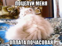 поцелуй меня оплата почасовая
