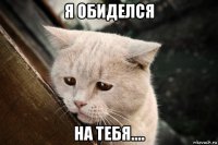 я обиделся на тебя....