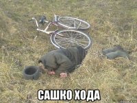  сашко хода