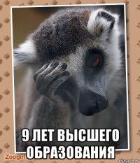 9 лет высшего образования