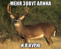 меня зовут алина и я курю