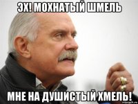 эх! мохнатый шмель мне на душистый хмель!