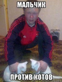 мальчик против котов