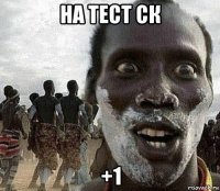 на тест ск +1