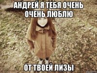 андрей я тебя очень очень люблю от твоей лизы