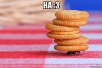 на :3 