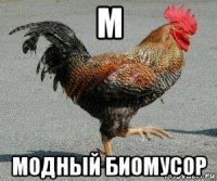 м модный биомусор
