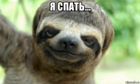 я спать... 