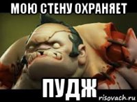 мою стену охраняет пудж