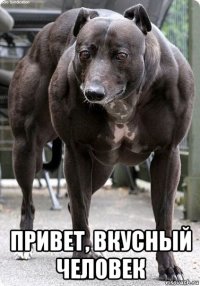  привет, вкусный человек