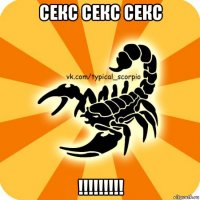 секс секс секс !!!!!!!!!