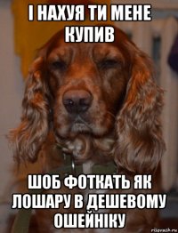 і нахуя ти мене купив шоб фоткать як лошару в дешевому ошейніку