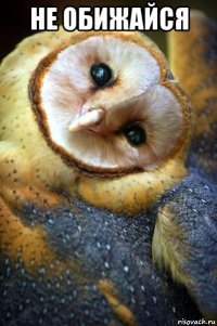 не обижайся 