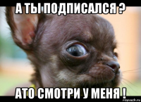 а ты подписался ? ато смотри у меня !