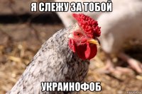 я слежу за тобой украинофоб