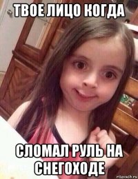 твое лицо когда сломал руль на снегоходе
