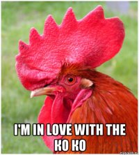  i'm in love with the ко ко