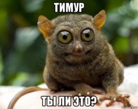 тимур ты ли это?