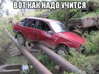 вот как надо учится 