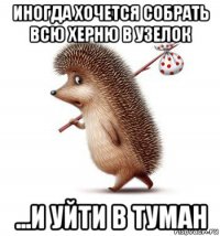 иногда хочется собрать всю херню в узелок ...и уйти в туман