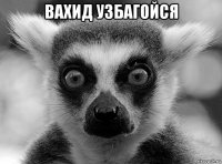 вахид узбагойся 