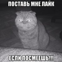 поставь мне лайк если посмеешь!!!