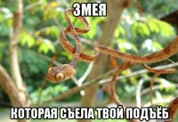 змея которая съела твой подъёб