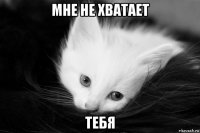 мне не хватает тебя