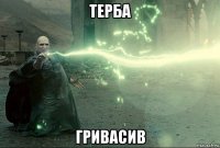 терба гривасив