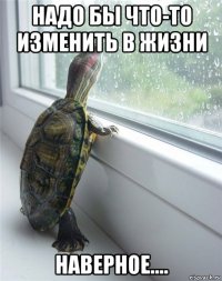 надо бы что-то изменить в жизни наверное....