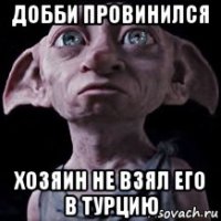 добби провинился хозяин не взял его в турцию