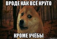 вроде как всё круто кроме учёбы