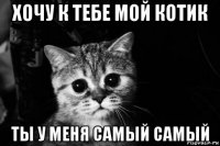 хочу к тебе мой котик ты у меня самый самый