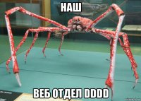 наш веб отдел dddd