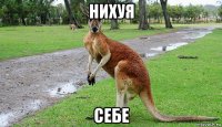 нихуя себе