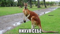  нихуя себе