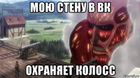 мою стену в вк охраняет колосс