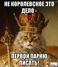 не королевское это дело - первой парню писать!