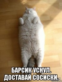  барсик уснул. доставай сосиски.