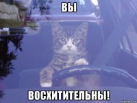 вы восхитительны!