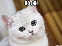 котик 