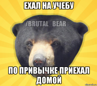 ехал на учебу по привычке приехал домой