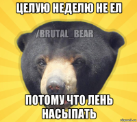 целую неделю не ел потому что лень насыпать