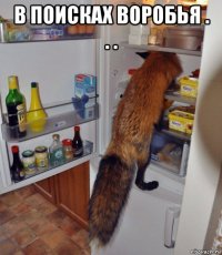 в поисках воробья . . . 