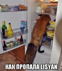  как пропала lisyan