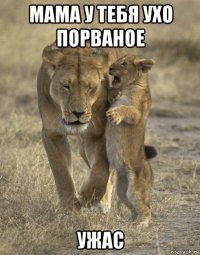 мама у тебя ухо порваное ужас