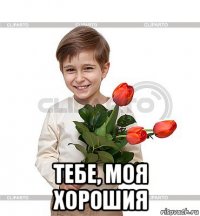  тебе, моя хорошия