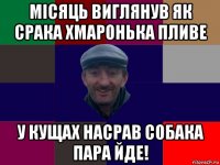 місяць виглянув як срака хмаронька пливе у кущах насрав собака пара йде!
